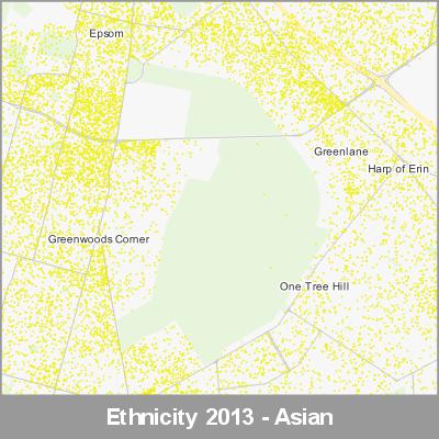 Ethnicity Auckland Asian ProductImage 2013