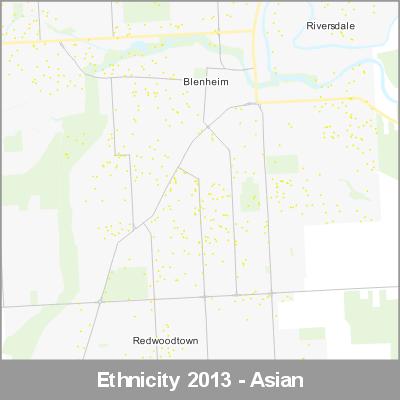 Ethnicity Blenheim Asian ProductImage 2013