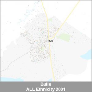 Ethnicity Bulls ALL ProductImage 2001