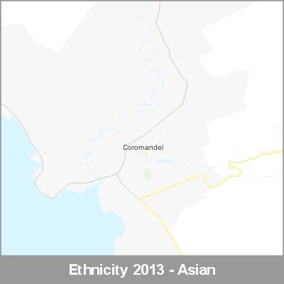 Ethnicity Coromandel Asian ProductImage 2013