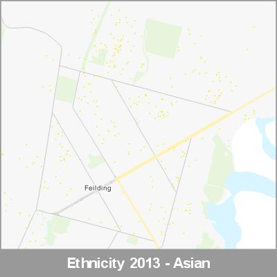 Ethnicity Feilding Asian ProductImage 2013