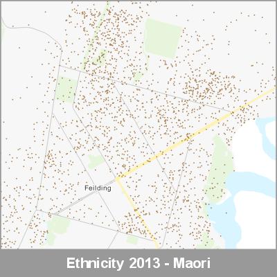 Ethnicity Feilding Maori ProductImage 2013
