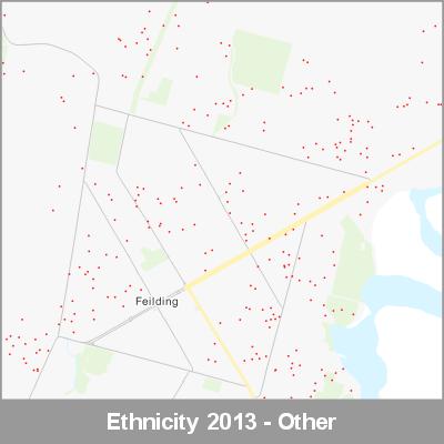 Ethnicity Feilding Other ProductImage 2013