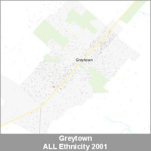 Ethnicity Greytown ALL ProductImage 2001