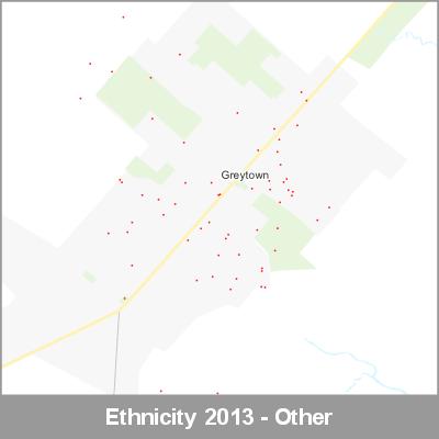 Ethnicity Greytown Other ProductImage 2013