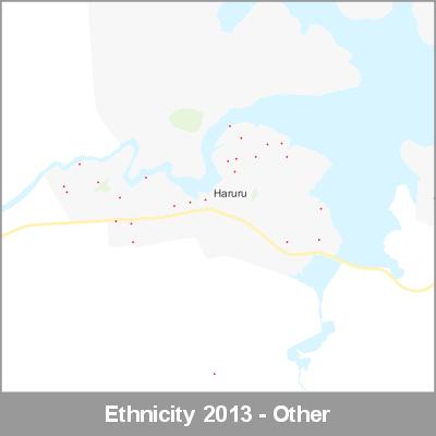 Ethnicity Haruru Other ProductImage 2013