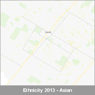 Ethnicity Levin Asian ProductImage 2013