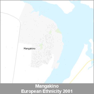 2001 European Ethnicity Mangakino Digital Maps