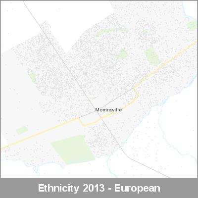Ethnicity Morrinsville European ProductImage 2013