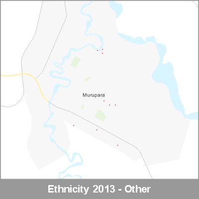 Ethnicity Murupara Other ProductImage 2013