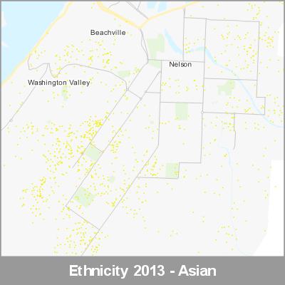 Ethnicity Nelson Asian ProductImage 2013