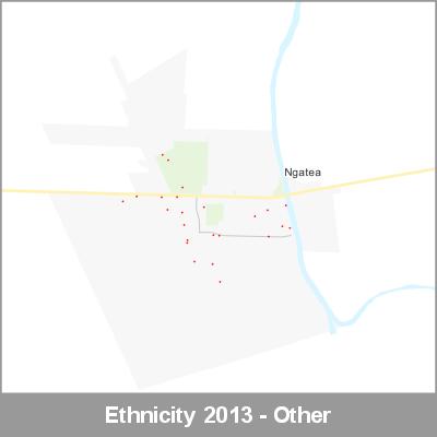Ethnicity Ngatea Other ProductImage 2013