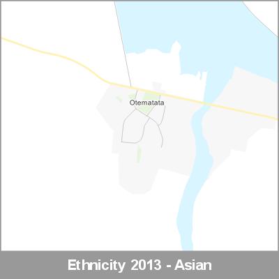 Ethnicity Otematata Asian ProductImage 2013