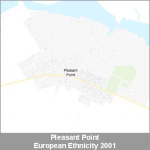 Ethnicity Pleasant Point European ProductImage 2001