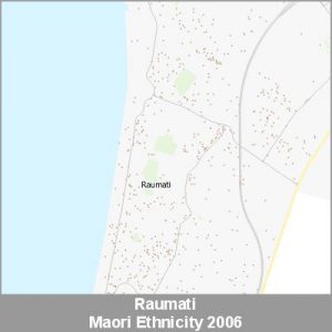 Ethnicity Raumati Maori ProductImage 2006