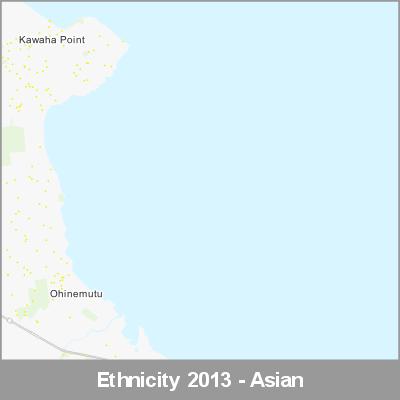 Ethnicity Rotorua Asian ProductImage 2013