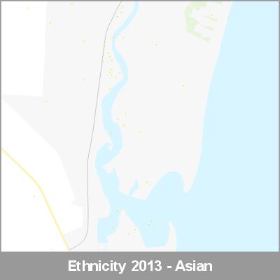 Ethnicity Ruakaka Asian ProductImage 2013