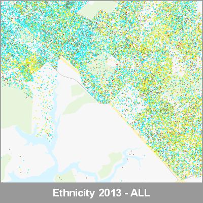 Ethnicity South Auckland ALL ProductImage 2013
