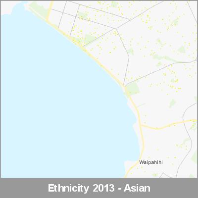 Ethnicity Taupo Asian ProductImage 2013