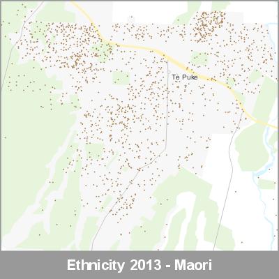 Ethnicity Te Puke Maori ProductImage 2013