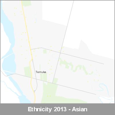 Ethnicity Temuka Asian ProductImage 2013