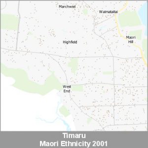 Ethnicity Timaru Maori ProductImage 2001