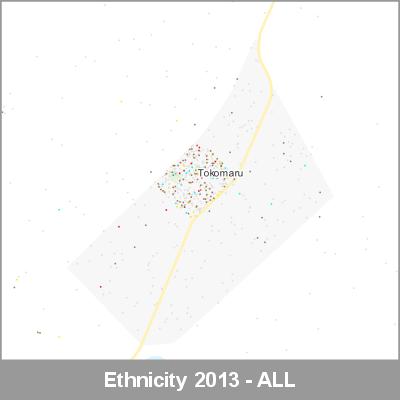 Ethnicity Tokomaru ALL ProductImage 2013