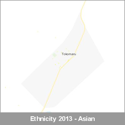 Ethnicity Tokomaru Asian ProductImage 2013