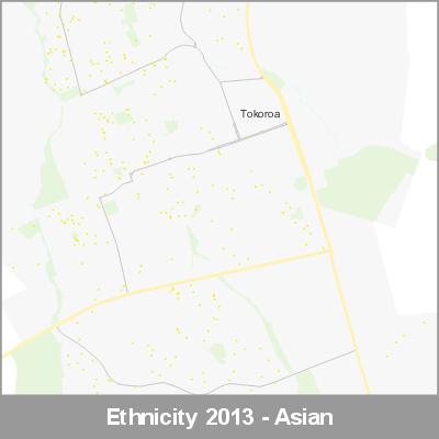 Ethnicity Tokoroa Asian ProductImage 2013