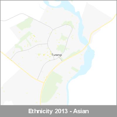 Ethnicity Turangi Asian ProductImage 2013