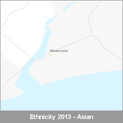 Ethnicity Waldronville Asian ProductImage 2013