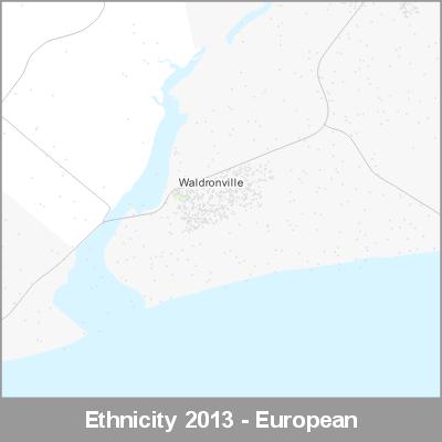 Ethnicity Waldronville European ProductImage 2013