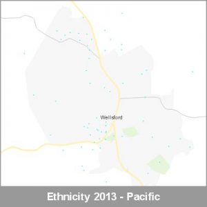 Ethnicity Wellsford Pacific ProductImage 2013